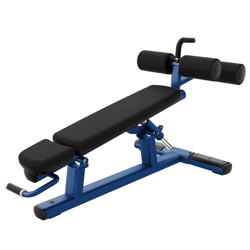Home Gym Dumbbell Workout - Commercial Bench - Incline Flat Decline