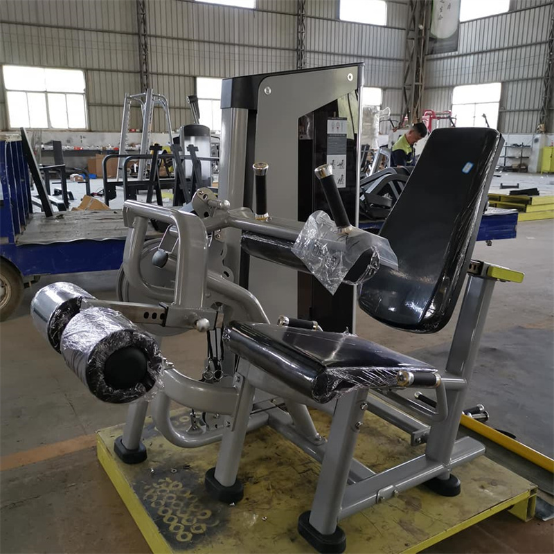 Fitness Gym Fitness Equipment  - đánh giá và giá Home Gym Leg Extension Machine