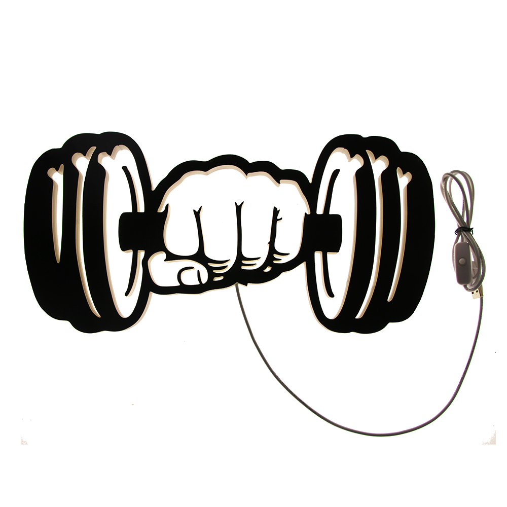 Xe Tập Đi Sức Mạnh Đèn LED Dán - đánh giá và giá Home Gym Dumbbell Workout