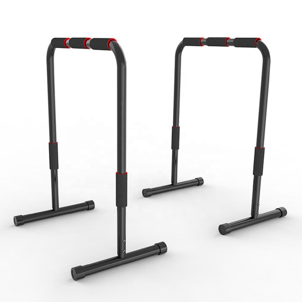Home Gym Equipment Lebert Equa - đánh giá và giá Dip Station Parallel