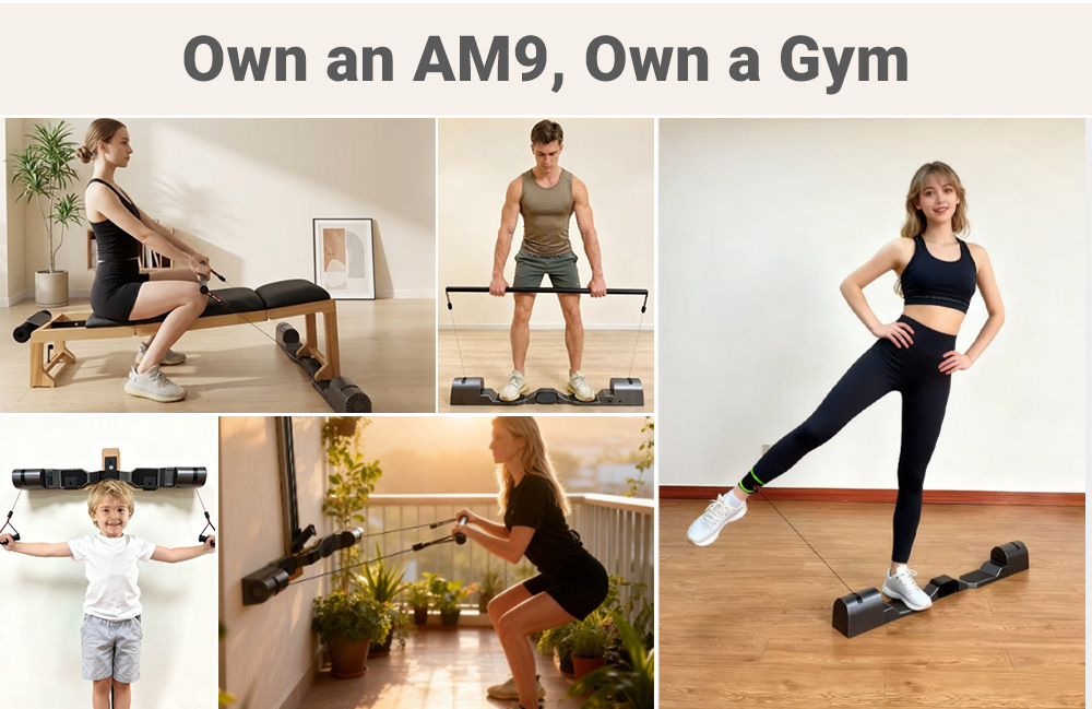 AM9 Professional Home Gym Fitn - đánh giá và giá Home Gym Leg Extension Machine