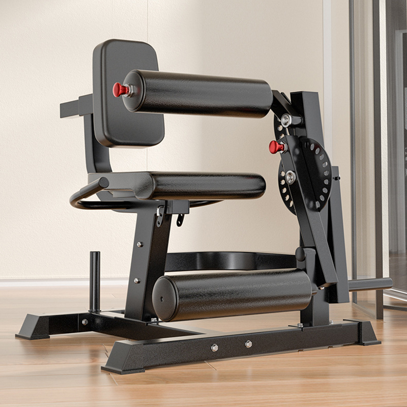Adjustable 6 Position Workout  - đánh giá và giá Home Gym Leg Extension Machine
