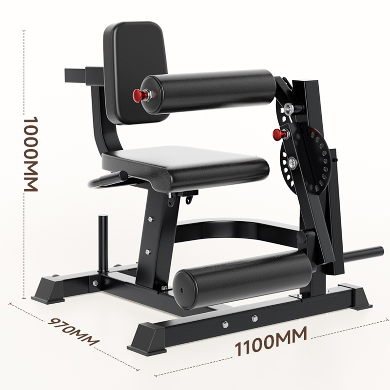 Adjustable 6 Position Workout  - đánh giá và giá Home Gym Leg Extension Machine
