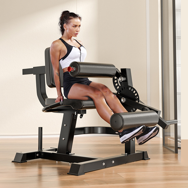 Adjustable 6 Position Workout  - đánh giá và giá Home Gym Leg Extension Machine