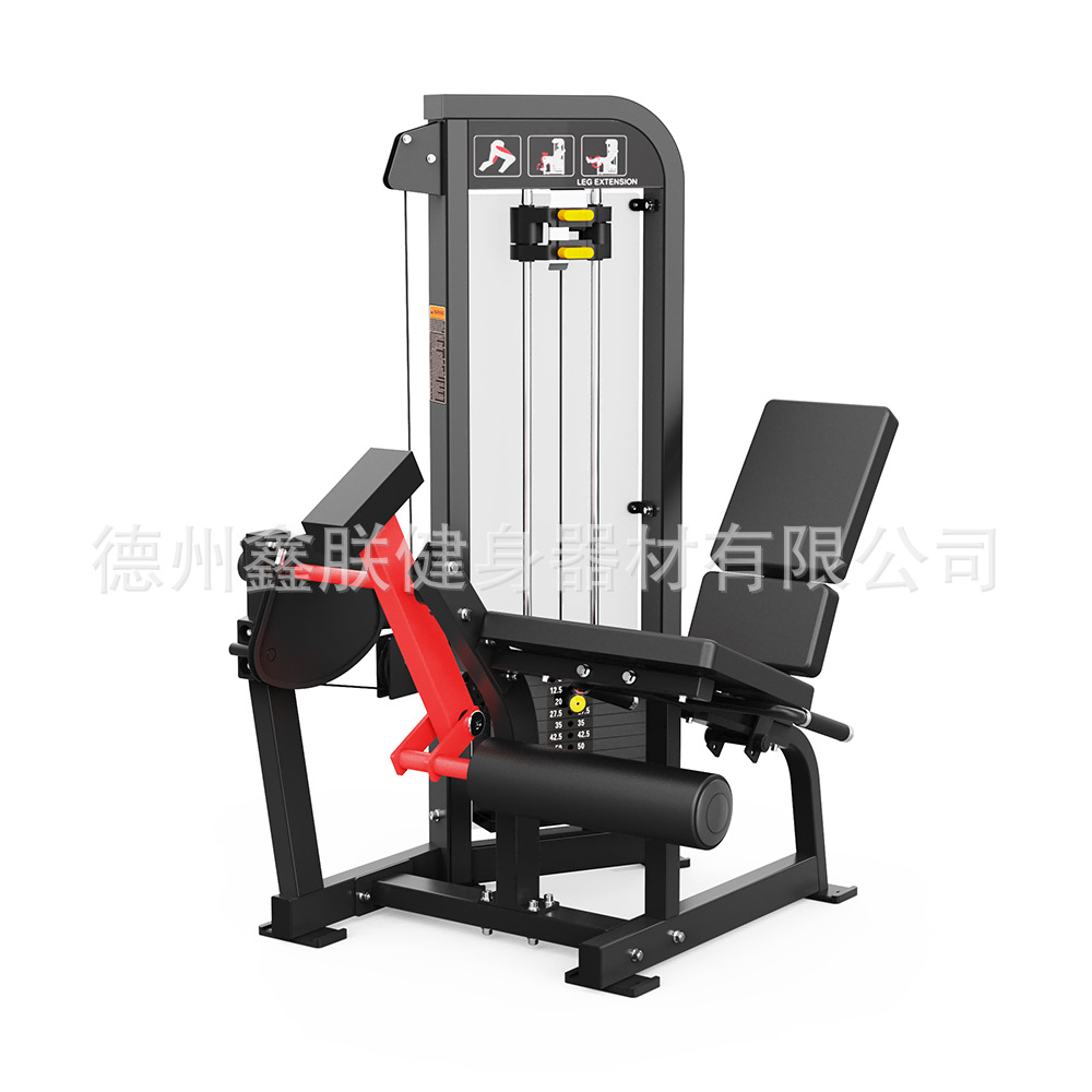 Gym Hammer Strength Equipment  - đánh giá và giá Home Gym Leg Extension Machine