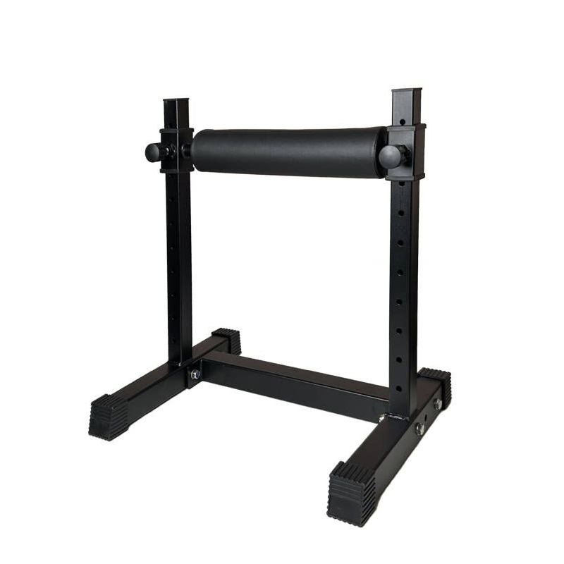 Adjustable Single Leg Squat St - đánh giá và giá Home Gym Design
