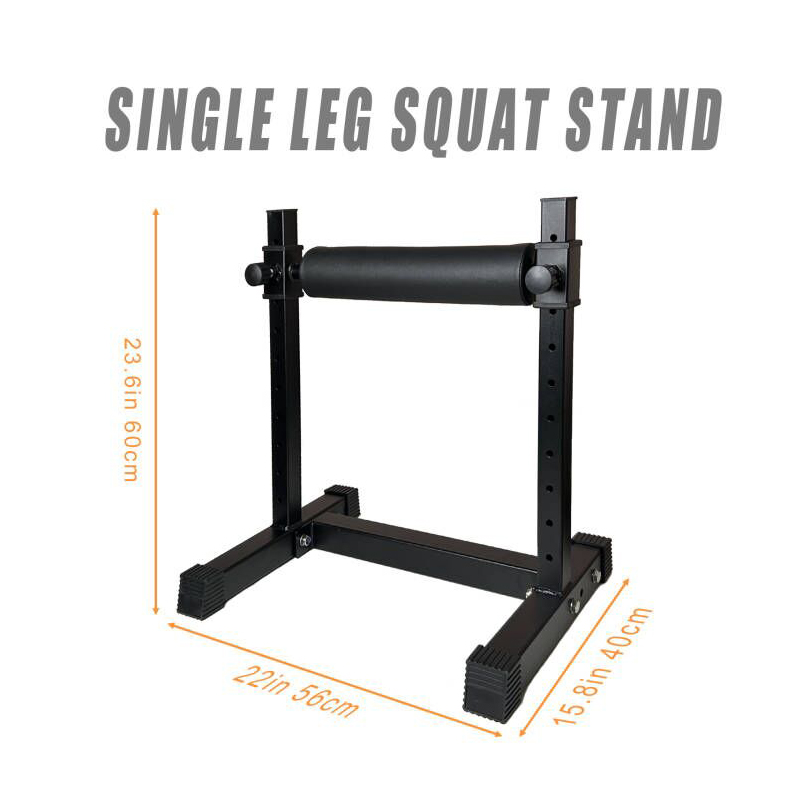 Adjustable Single Leg Squat St - đánh giá và giá Home Gym Design