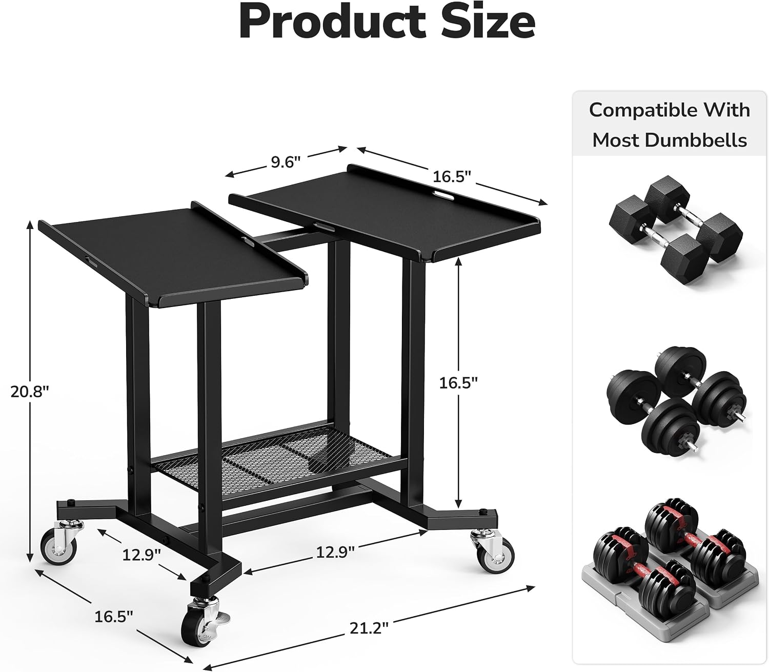 Adjustable Dumbbell Rack Stand - đánh giá và giá Home Gym Dumbbell Workout