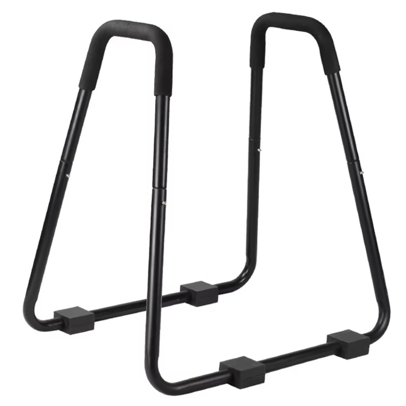 Indoor Home Gym Steel Fitness  - đánh giá và giá Dip Station Parallel