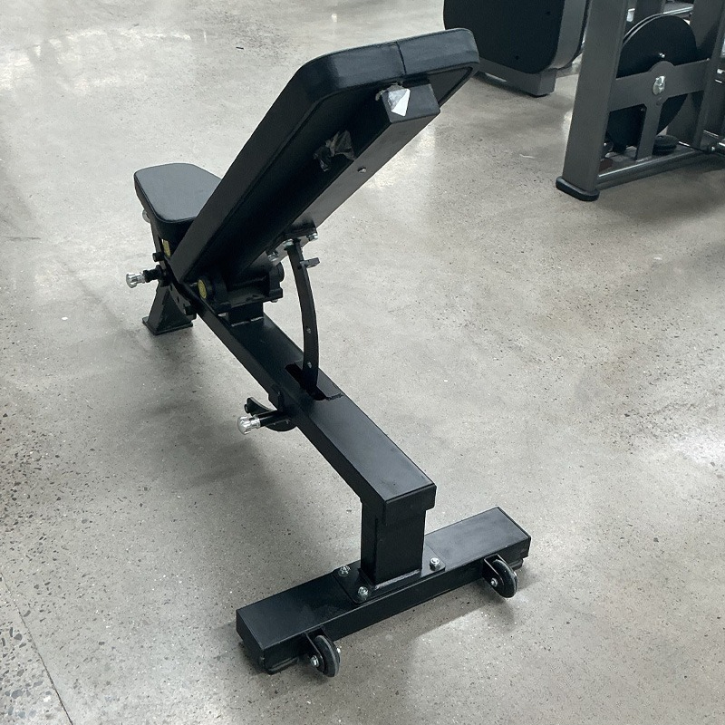 Adjustable Home Gym Dumbbell B - đánh giá và giá Home Gym Design