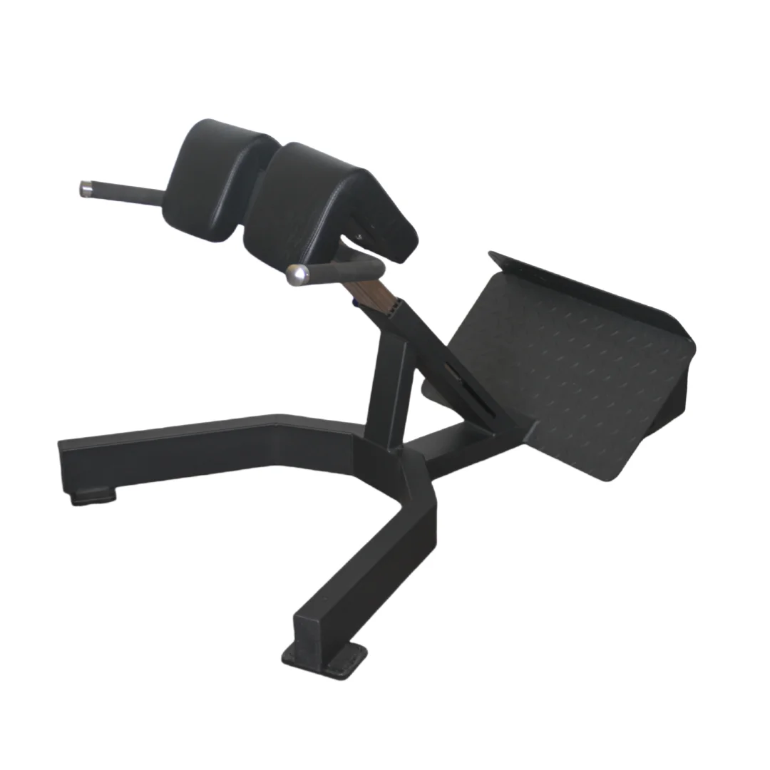 Factory Price Roman Chair Back - đánh giá và giá Home Gym Leg Extension Machine