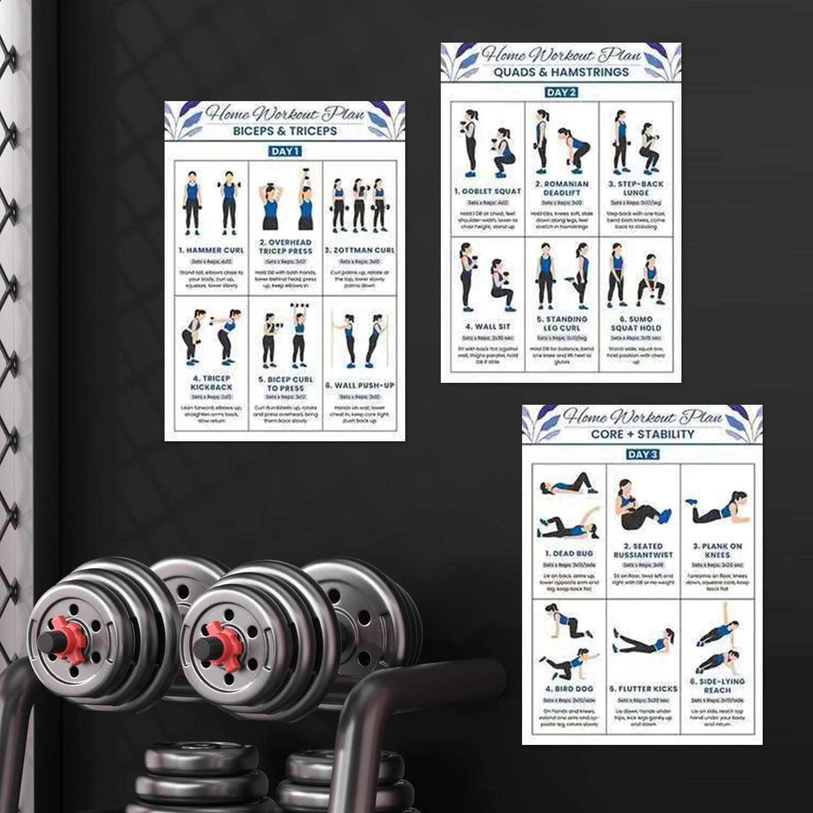 6pcs Yoga Dumbbell Stretching  - đánh giá và giá Home Gym Dumbbell Workout